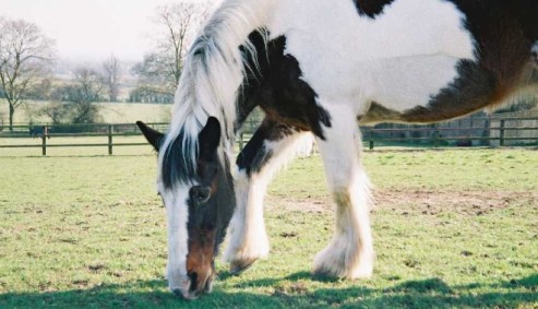 3ADE0EEC-8BB9-4B97-98DA-C58037358917_1_105_c