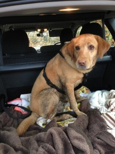 So long nice clean car