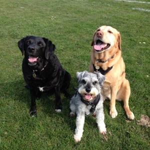 Annie and Little Bear with their friend Grace