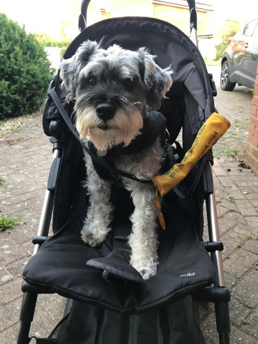 7B45CA84-BB5F-45B0-9C20-32001C5EB818