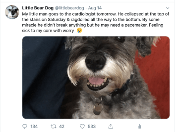 Screenshot 2019-09-01 at 07.31.45