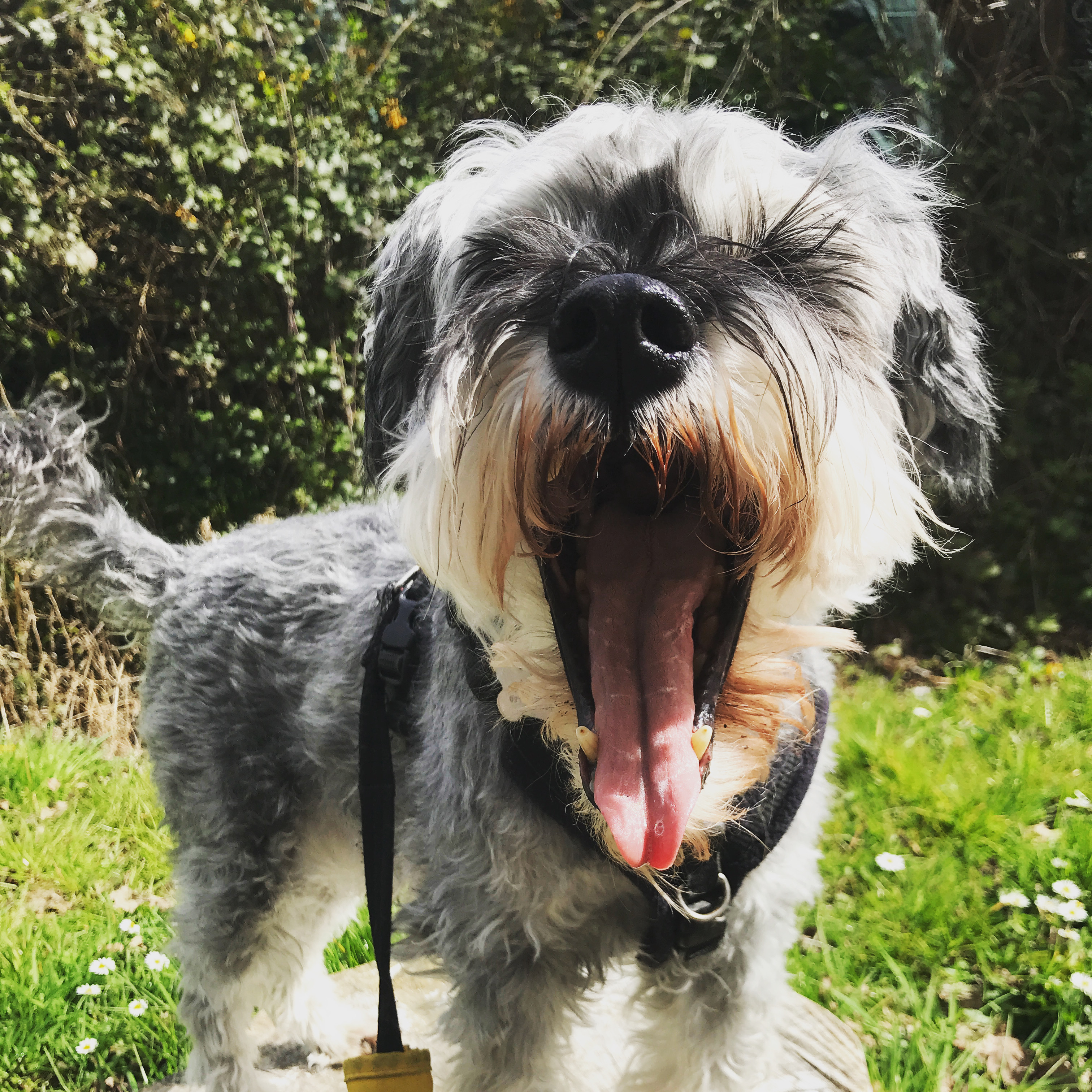 4A0F71A8-A4BE-49C7-BC07-826A99127917